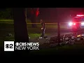 Woman killed after attack in Brooklyn park police say