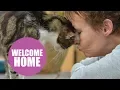 Video di 17yo moggy finally home after 13 years as a stray