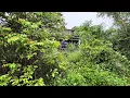 Download Lagu The House Swallowed by Grass for 20 Years – And the 5am SOS Phone Call