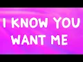 Download Lagu Pitbull - I Know You Want Me (Lyrics)