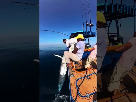 Why is he listening to this piece of fish?