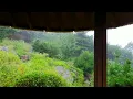 8 Hours Quiet Evening by the Forest with Gentle Rain Sounds for Relaxation and Sleep
