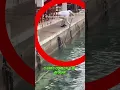 Channel
