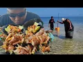 Lagu Kerang, ikan \u0026 Cumi-cumi tinggal ditombak utk dijadikan menu makan siang