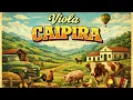 Lagu Viola Caipira, Modão de Viola Raiz,