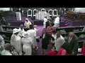 Celebrating the Life of Rebecca Green