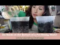 How Drainage Works in Pots The Perched Water Table a Drainge Hack that Doesn t work
