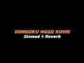 Download Lagu DONGAKU NGGO KOWE  -  Slowed + Reverb (Full Lirik)
