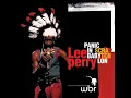 I Am a Psychiatrist - Lee Perry