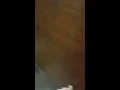 espiando a mi mama en el bano