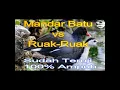 Download Lagu SUARA PIKAT MANDAR BATU vs  RUAK RUAK 2021 TOP