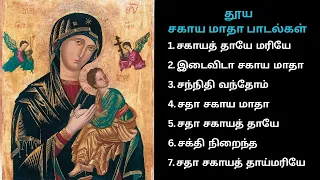  sagaya madha mary songs tamil christian songs madhasongs marysong
