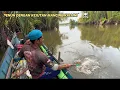 Lagu Sampai Berantakan, Ganasnya Tarikan Ikan Monster Muara. #fishing 