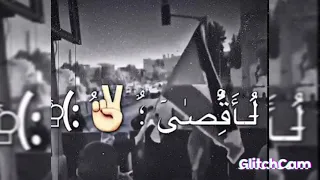 اغني فلسطين اكتب ع زناد الباروده 