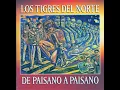 El Aguilillo