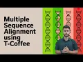 Multiple Sequence Alignments using T-Coffee