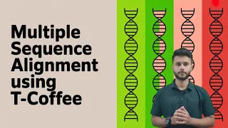Multiple Sequence Alignments using T-Coffee