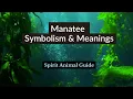 Manatee Symbolism and Meanings Spirit Animal Guide