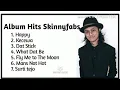 ALBUM HITS SKINNYFABS