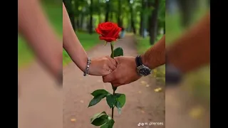انشودة معراج حبي    دندنها