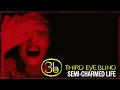 Third Eye Blind - Semi-Charmed Life (Official Visualizer)