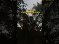 Download Lagu sepuluh Nama nama malaikat Allah#viral smoga bermanfaat