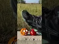 Download Lagu Life Doodles | 2 tomatoes crushed 😨 #lifedoodles #doodle #shorts #tomato #crush #crushing #cartoon