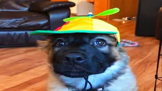 INSTAGRAM MEMES | 15