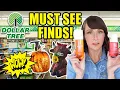 NEW Dollar Tree Haul Disclaimer Sad Life Update Included