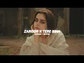 Download Lagu Zaroor X Tere Bina (SLOWED + REVERB) Mashup | Reverb Nation | Insta Viral Song @VdjSoulKaran