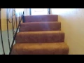 2212 Glacier St Unit 204 Anchorage AK 99508