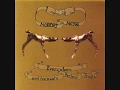Modest Mouse - The Air