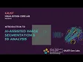 AI Assisted Image Segmentation and 3D Analysis using Avizo and Ilastik