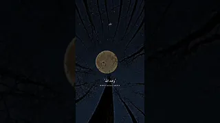 معاذ الله اني ما يئست لكنها والله ايام ثقال 