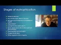 IGCSE Marine 6 7 eutrophication