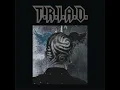 Selir Hati - T.R.I.A.D