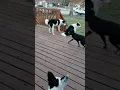 Mo-Kan Cooper
