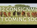 Clay Ranch Quarter Horses 2022 Production Sale Teaser