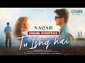 Download Lagu Tu Ishq Hai 🎶 Naqsh Full OST | Singer: Sahir Ali Bagga | Green TV Music