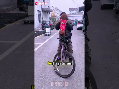 Arka Koltuğa Oturmayan ÇOMAR İsyanda! 😡🐾