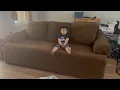 Couch cover is it worth it 4 Piece T Cushion Sofa Slipcovers Stretch Couch Slip Cover for 3 Cushio
