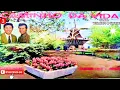Download Lagu Dupla Loli e Inácio - Caminho da Vida 1976 Lp (Disco de Vinil)