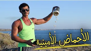 الأحماض الامينية Amino AcidsKaser Alsaeed كاسر السعيد 
