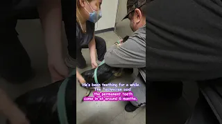 My 1st Experience at Vetco