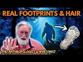 Download Lagu Scientific Bigfoot Proof From PhD Anthropologist Dr. Jeff Meldrum