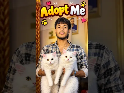 Adopt Me ππ₯Ί #shorts #trending #cats #ytshorts