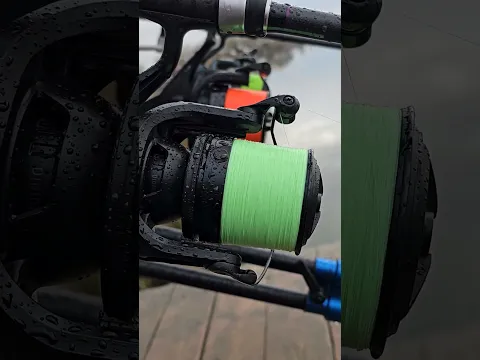 Download MP3 Daiwa emblem 45 SCW QD #newtoys #carp #daiwa #emblem #fishing #wlc