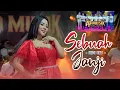 Download Lagu SEBUAH JANJI - RENI REY | AP MUSIK