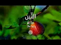 Download Lagu Al Quran: At Tin (95) - with english audio translation (Sudais \u0026 Shuraim)