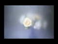 Teen Suicide  - Haunt Me (x3)